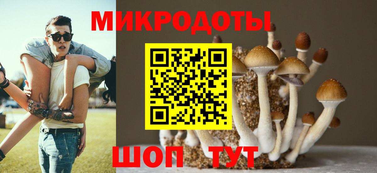 Псилоцибиновые грибы Psilocybe Иваново